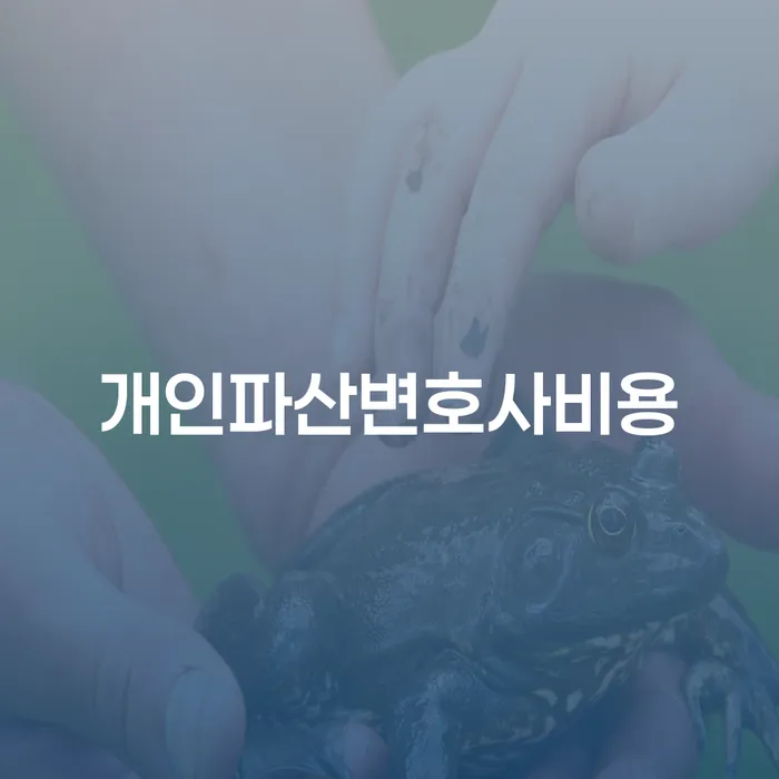 개인회생도박으로 인한 채무 정리 채무 효과적인 해결방법 추천하는 법무법인