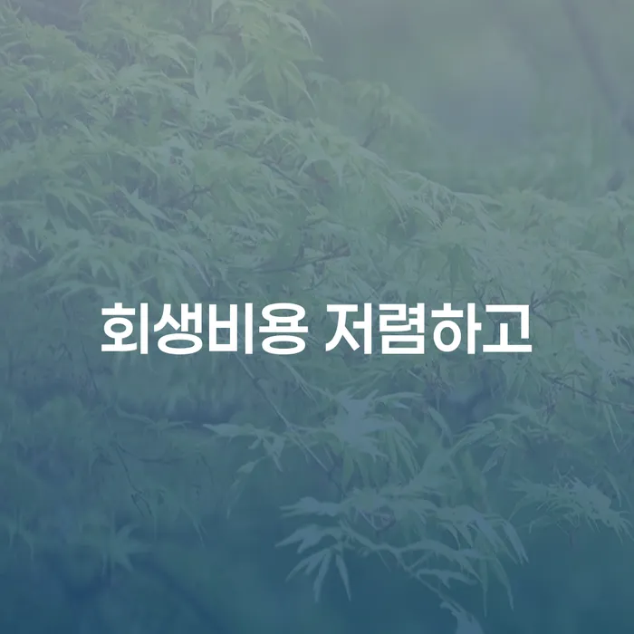 주식개인회생 개인파산 정해지는