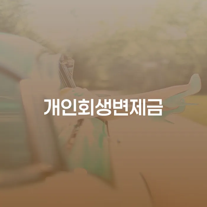 개인사채 채무조정제도을 이용하여 잘하는 곳