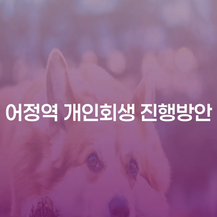 어정역 개인회생 진행방안