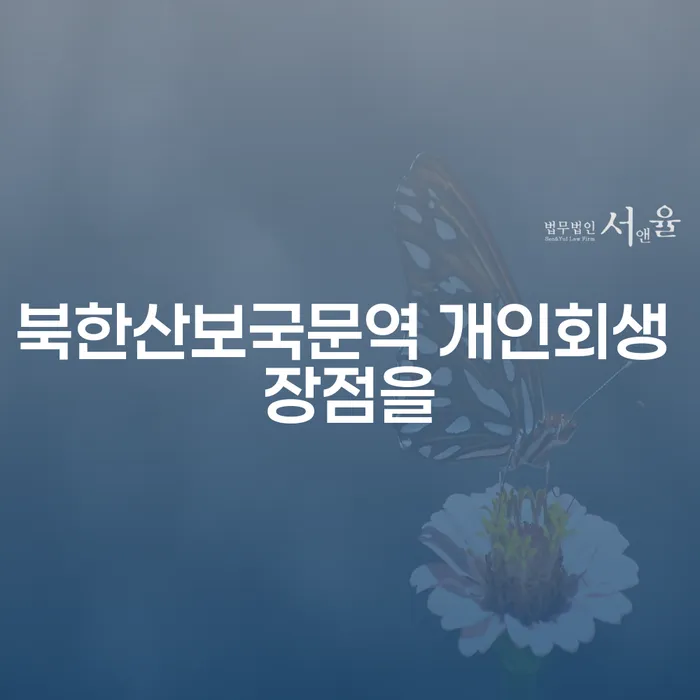 북한산보국문역 개인회생 장점을